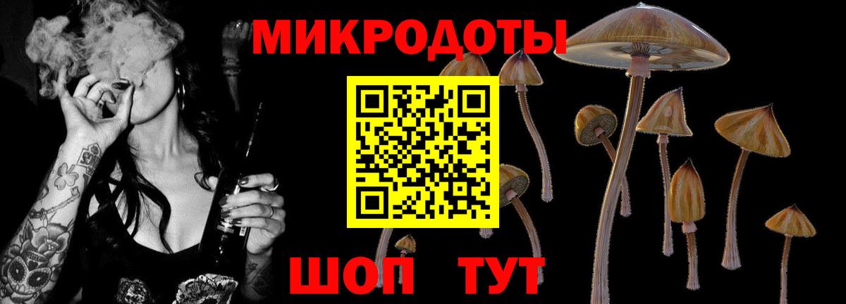 даркнет сайт  Вход с VPN  Мариинск  Галлюциногенные грибы мицелий 